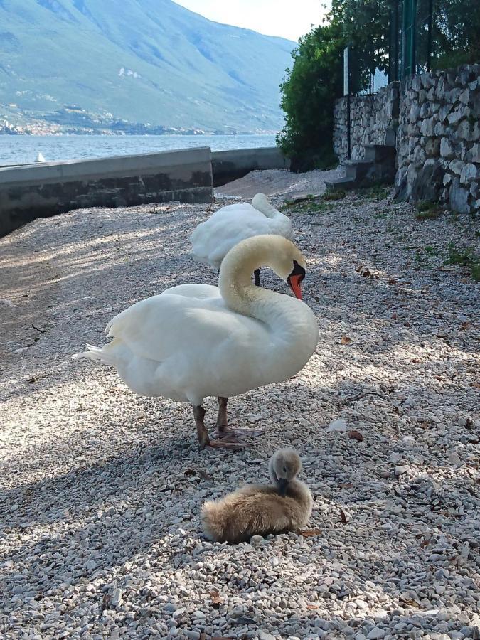 Hotel Astor Limone sul Garda Exterior foto